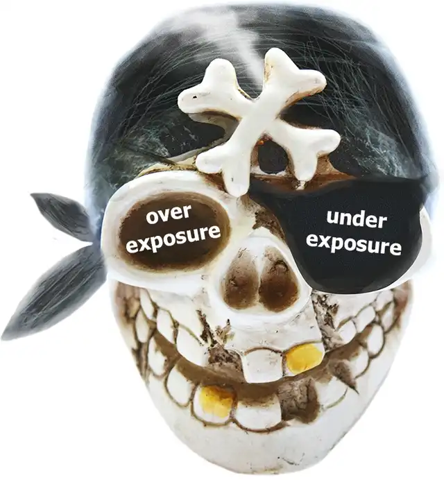 A pirate skull with an eye patch explained how human vision adapts to different light intensities.