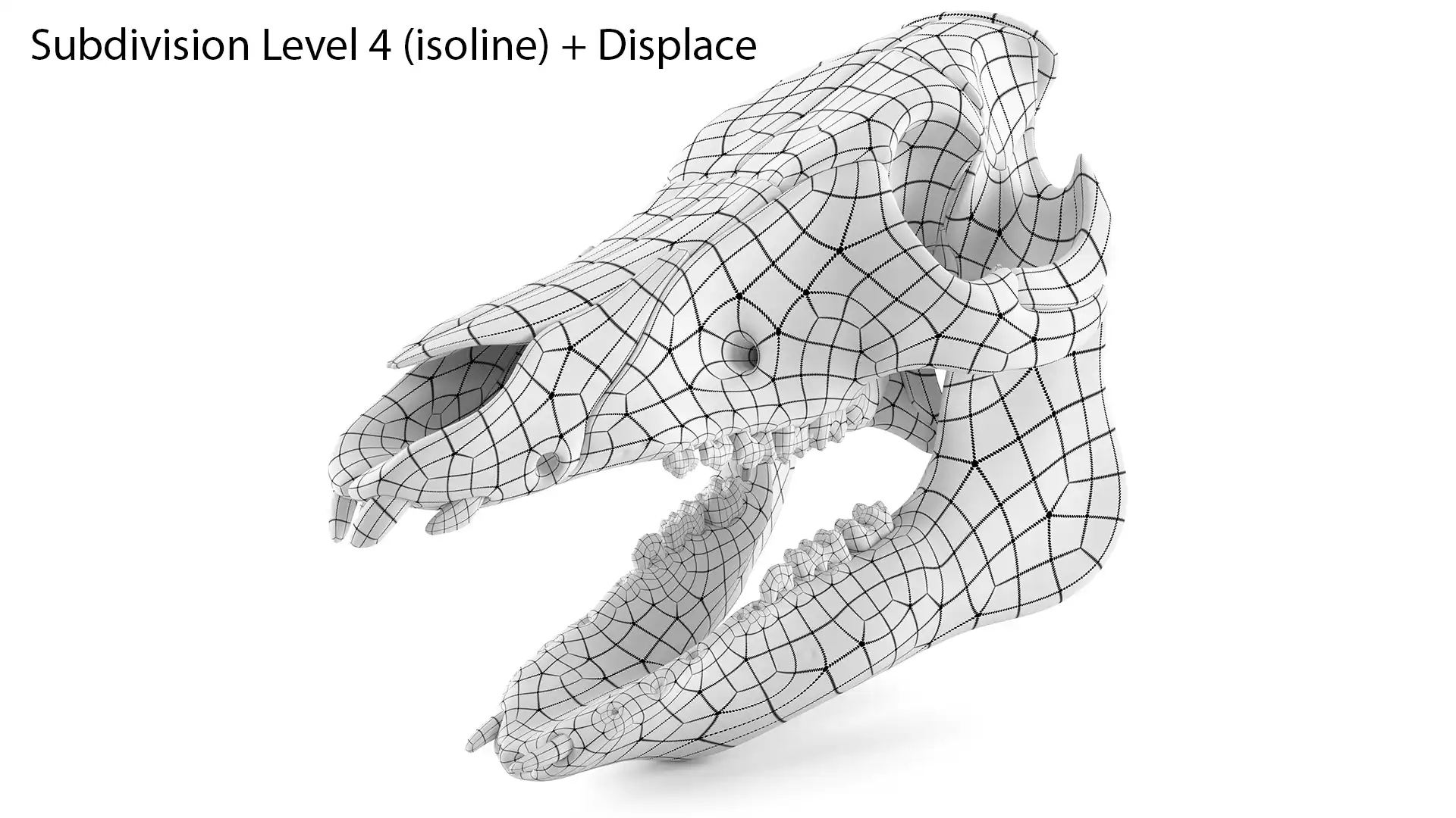 Wireframe rendering on a white background of pig skull 3d model. A turbo smooth subdivision surface with four iterations and displacement modifiers with 16bit displacement map is applied. The wire edges of base mesh shown as isolines.