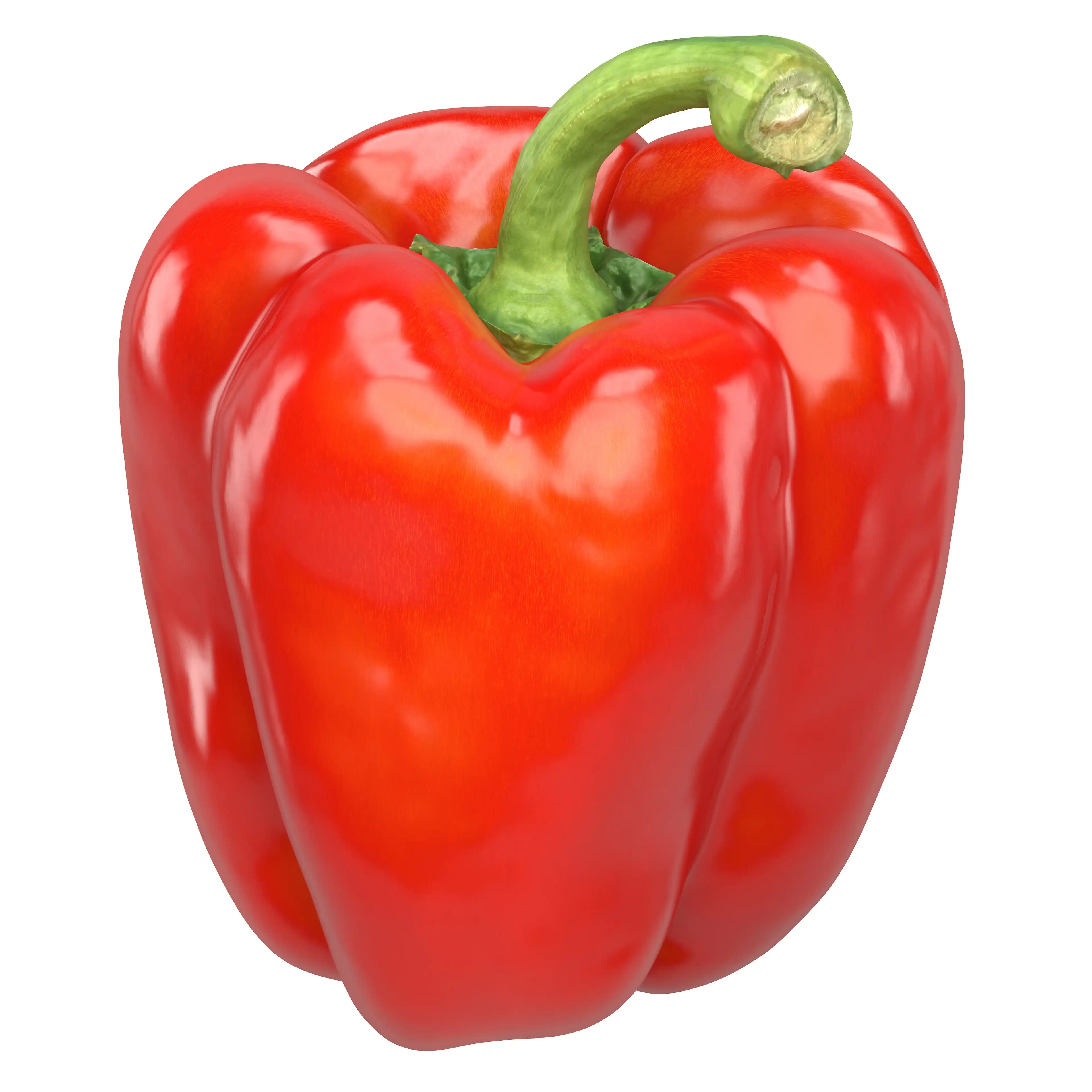 Low-polygonal, photorealistic, game-ready, scanned 3D Model of Red Bell Pepper in 3ds Max, OBJ, FBX and other formats.