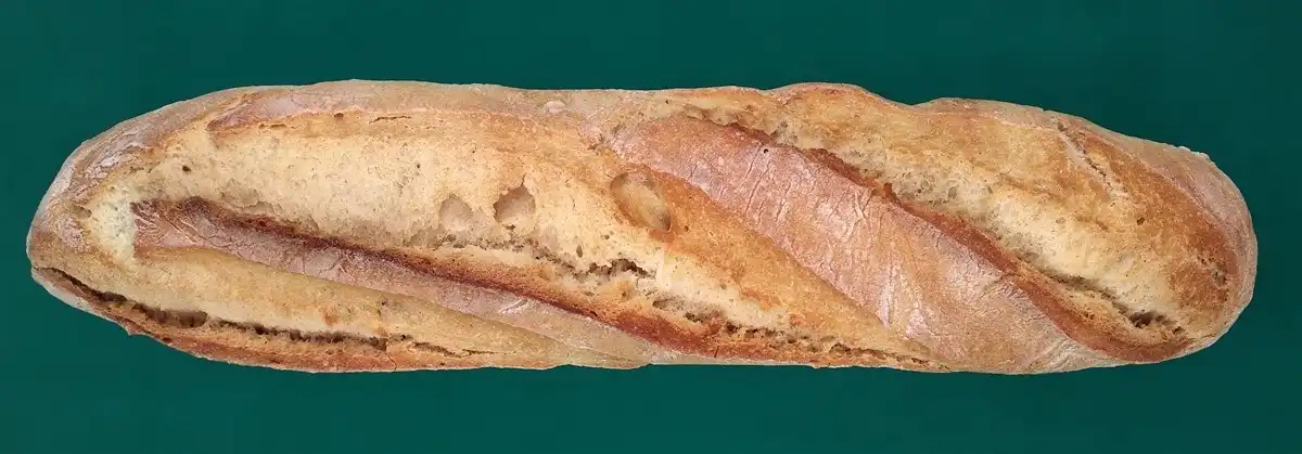 a photograph of a real baguette that was used as a reference for the texture and shape