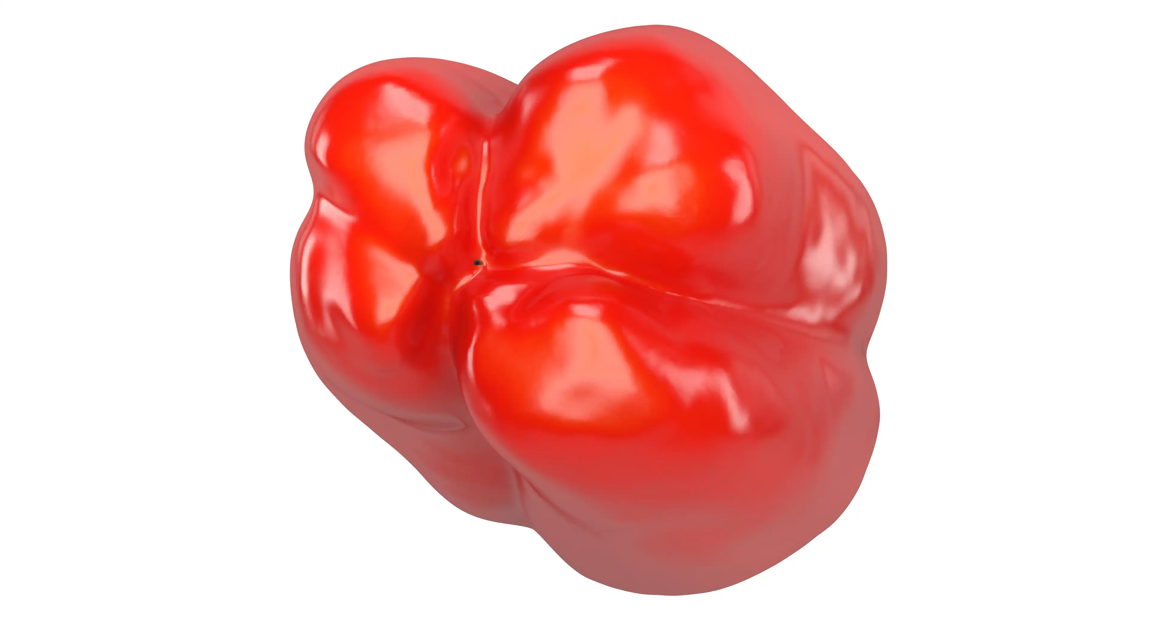 The bottom view of red bell pepper 3d model with close up on its pistil.