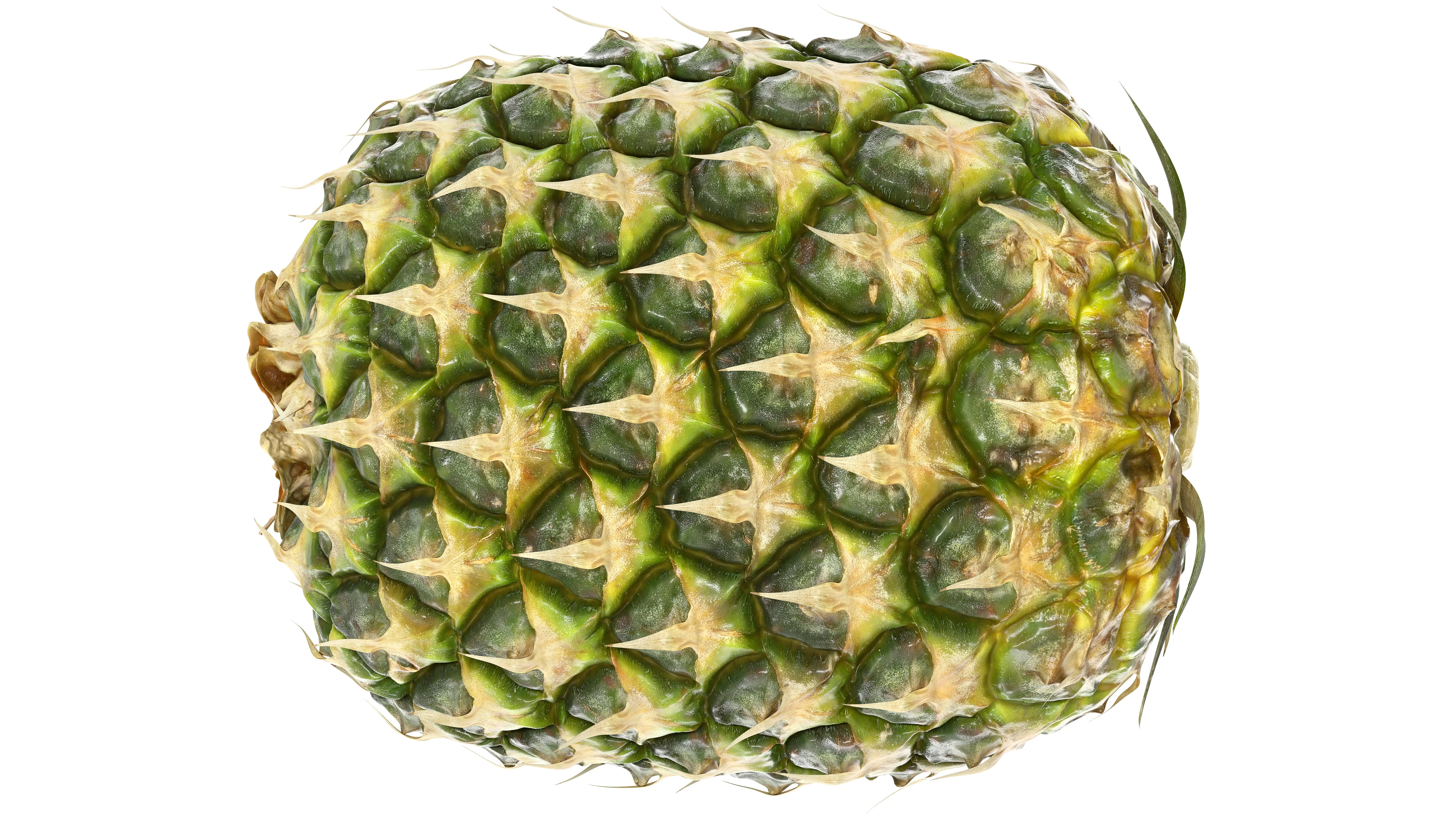 High resolution shot of Pineapple Fruit.