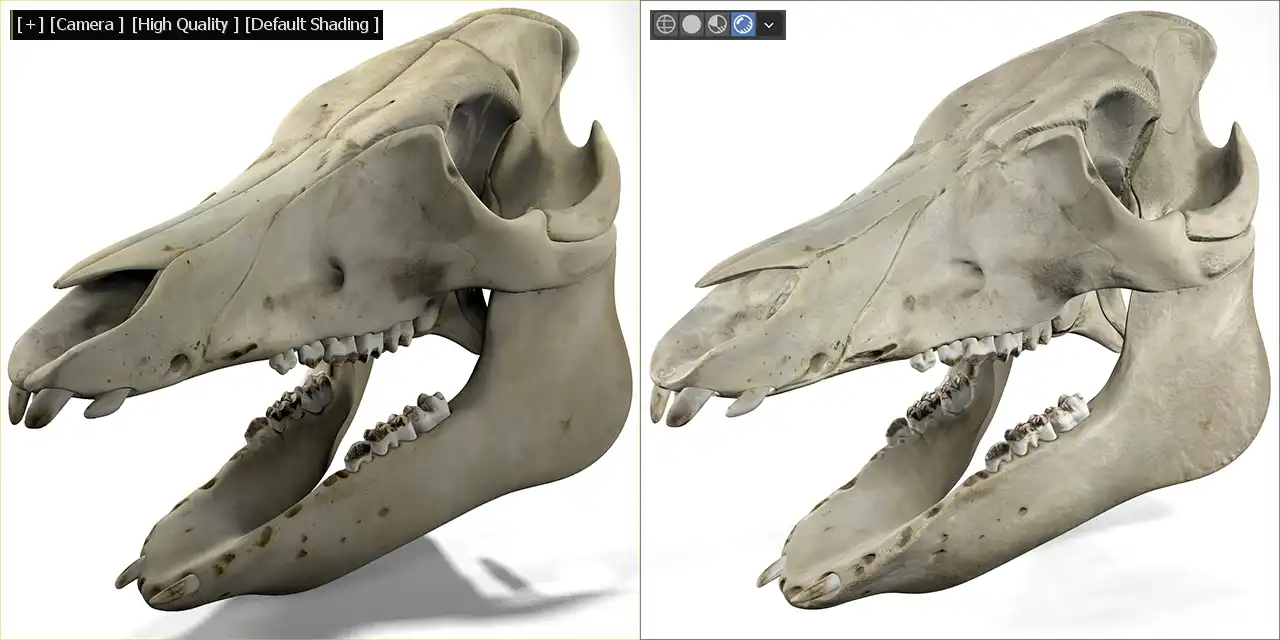 Camera framing comparison between 3ds Max Nitrous and Blender Eevee.