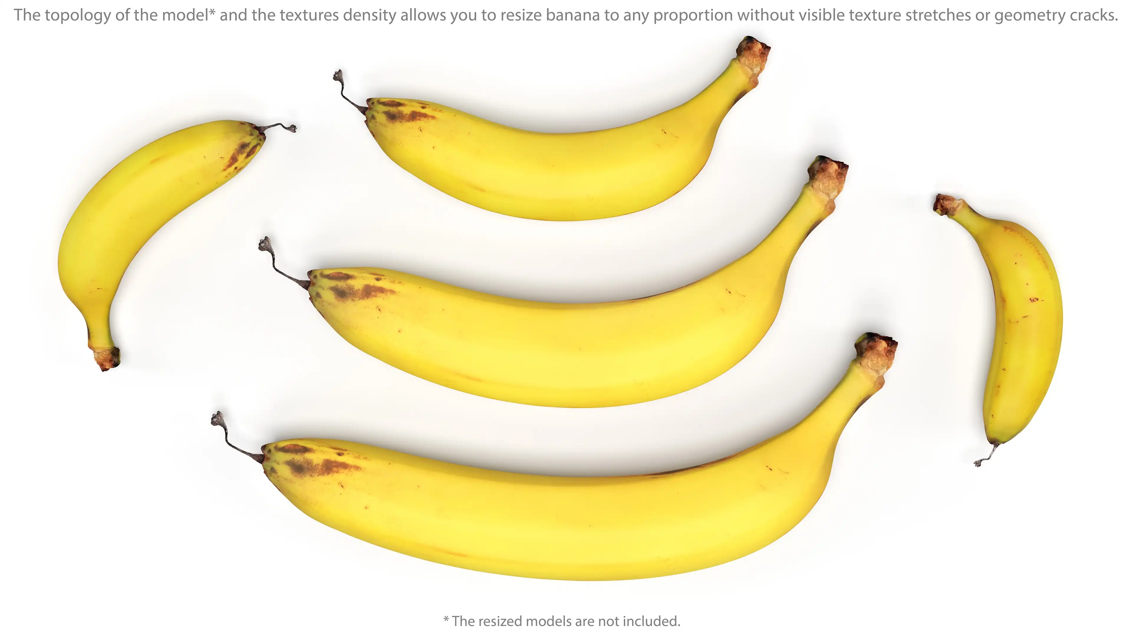 3d models of different sizes and proportions bananas