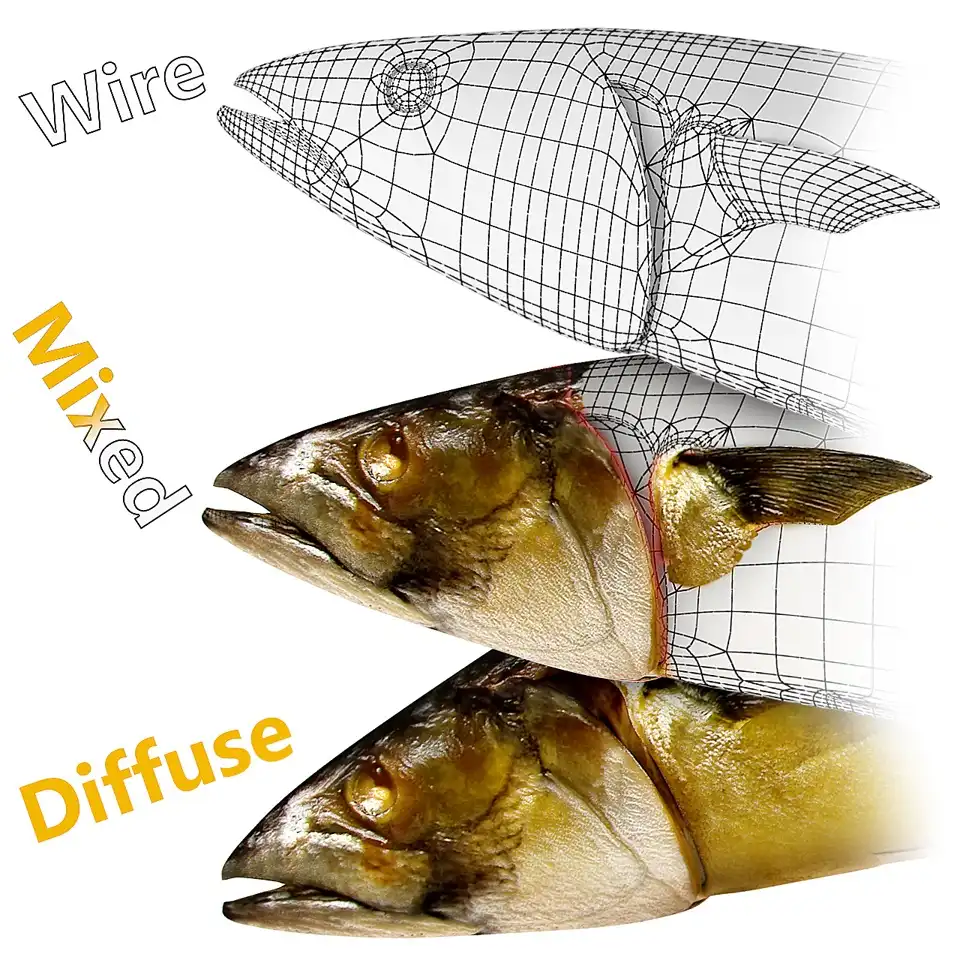 Infographic with isoline wireframe rendering of a mackerel 3d model that shows its topology lines.