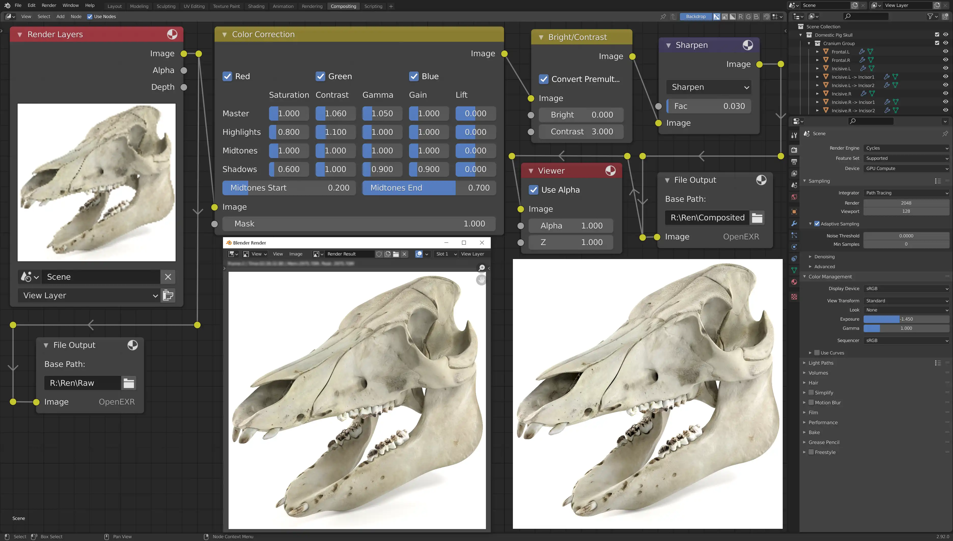 Making post production compositing of a pig skull 3d model in Blender. Compositor screenshot