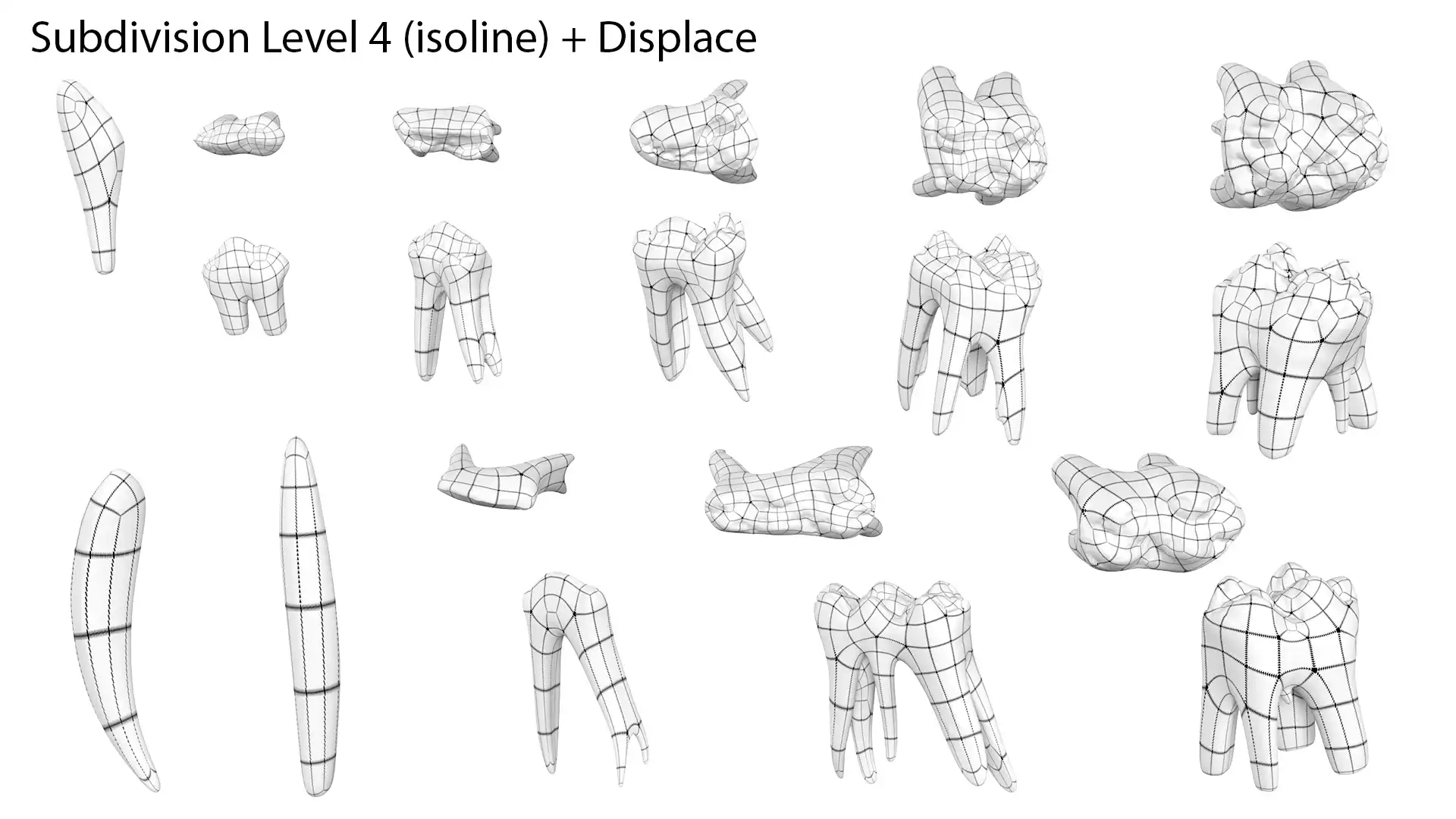 Isoline wireframe rendering of Incisors, Molars and Premolars teeth 3d models of domestic pig.