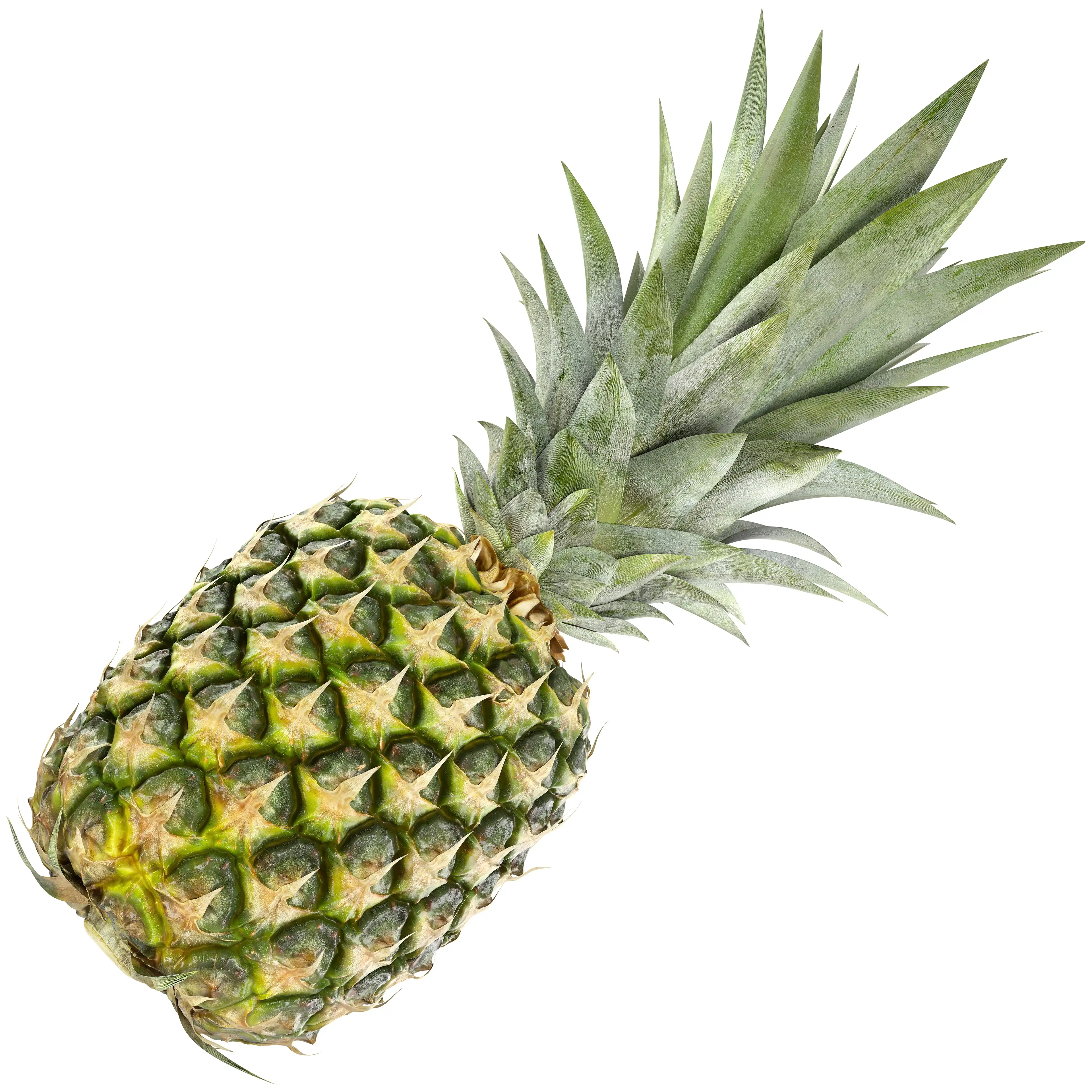 Scanned Ultra Detailed Photorealistic Whole Pineapple 3D Model PBR