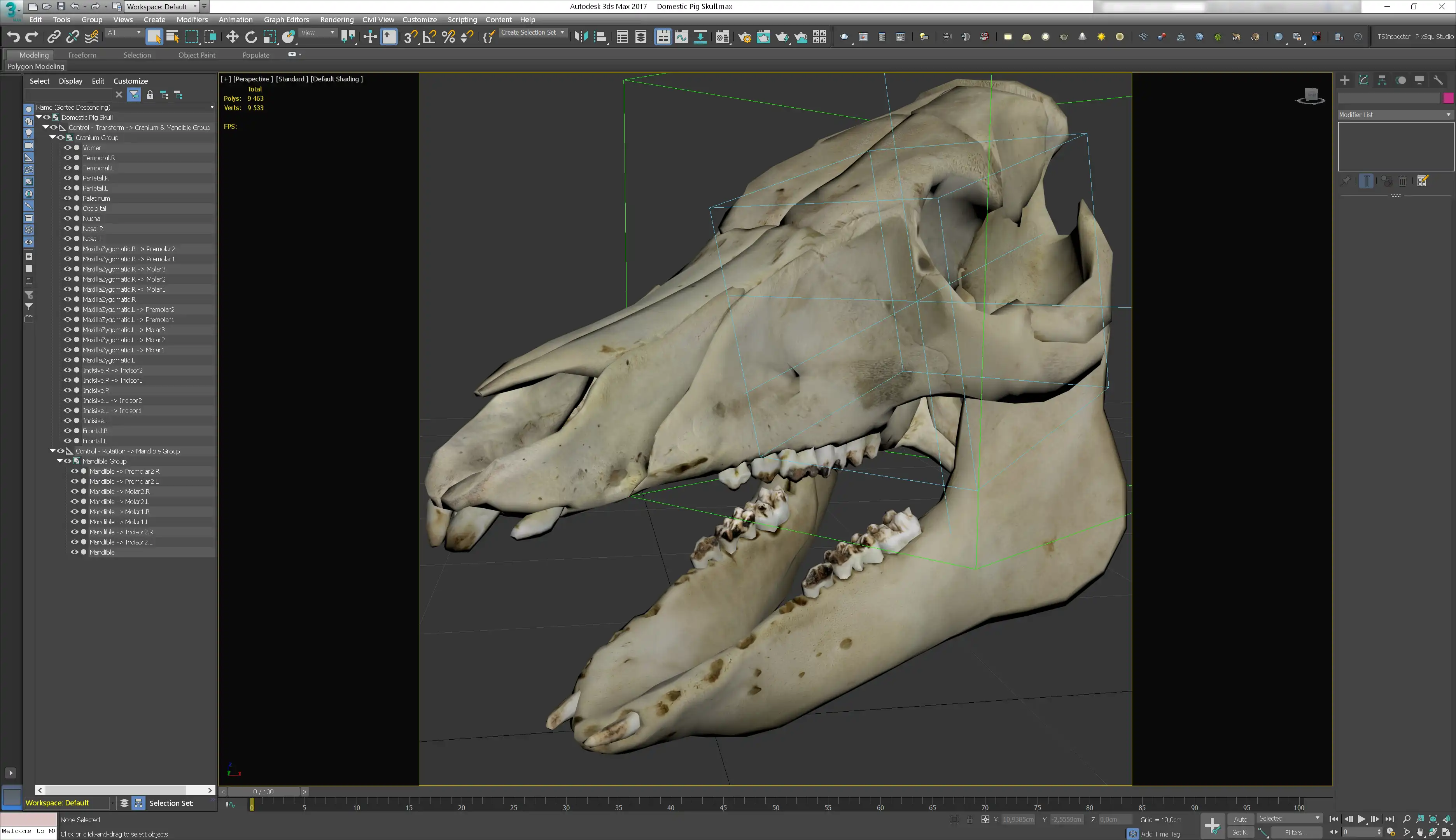 Screenshot of 3ds Max 2017 user interface with pig skull 3d model asset opened.